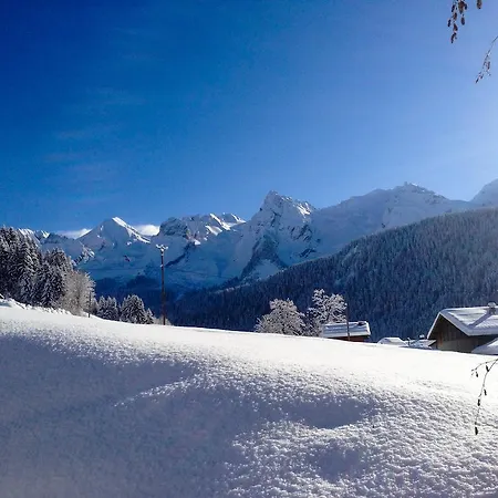 Chalet La Vigogne Et Le Grand-Bornand