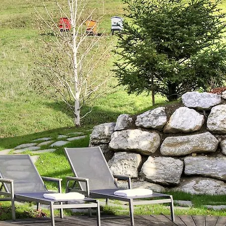 La Vigogne Et Le Grand-Bornand